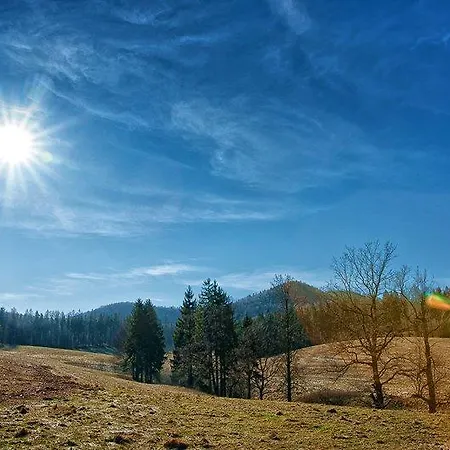 Jedlinka 3*