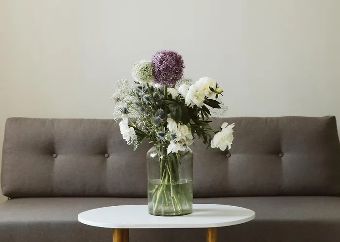 Jedlinka Jedlina-Zdroj